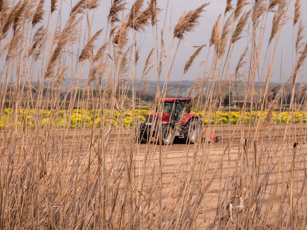 Reforma tributária e agronegócio: regulamentações e preocupações