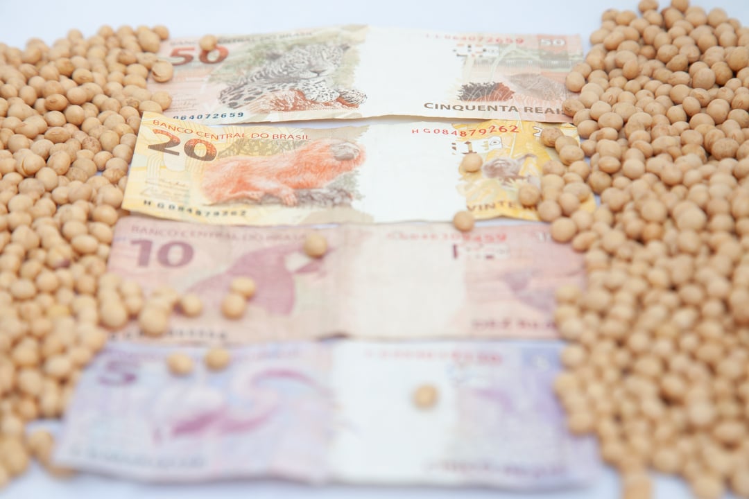 Como ficaram os preços de soja na primeira sexta-feira do mês? Confira as cotações