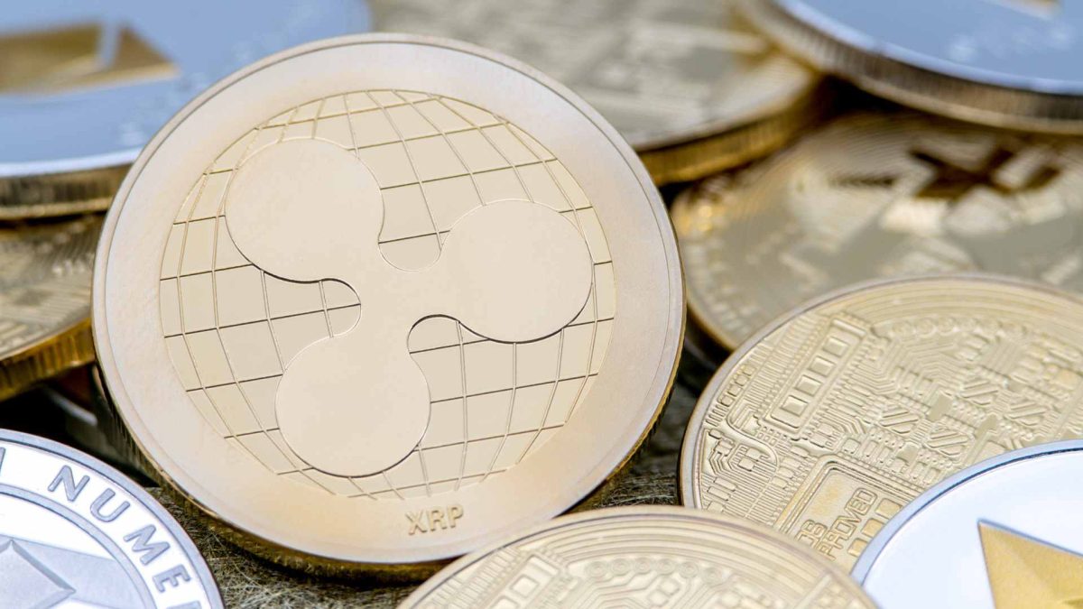 Ripple lança o University Digital Asset Xcelerator (UDAX) no Brasil para impulsionar o eco