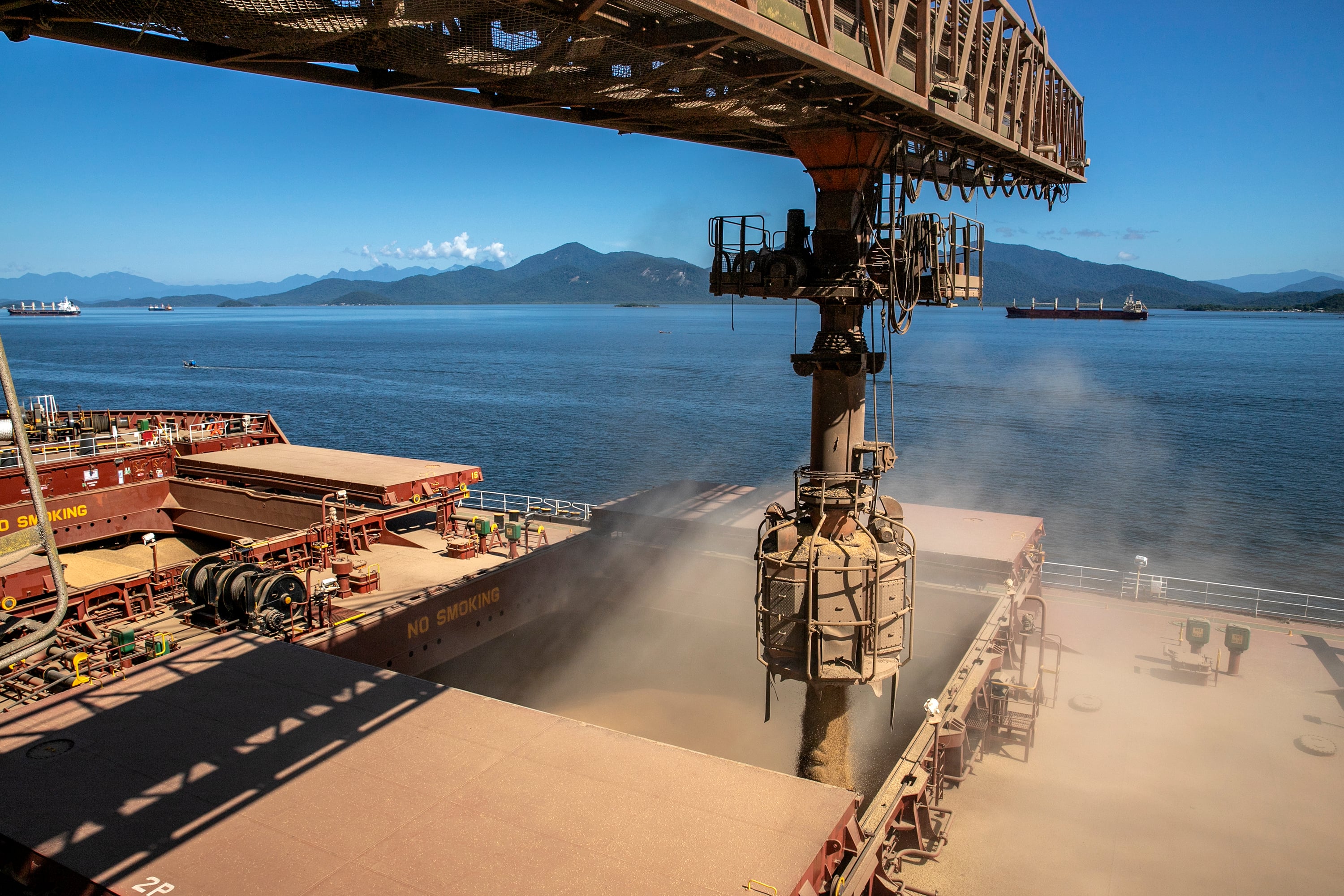 Exportações de soja do Brasil crescem 6,7% no primeiro semestre e podem atingir 114 milhõe