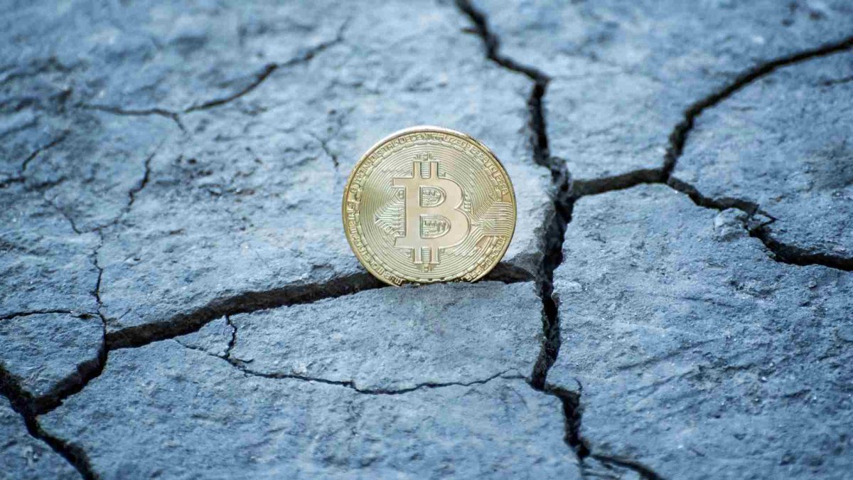 Brasileiros acompanham chegada de novo fork, mas bilionário Michael Saylor diz que “Bitcoi