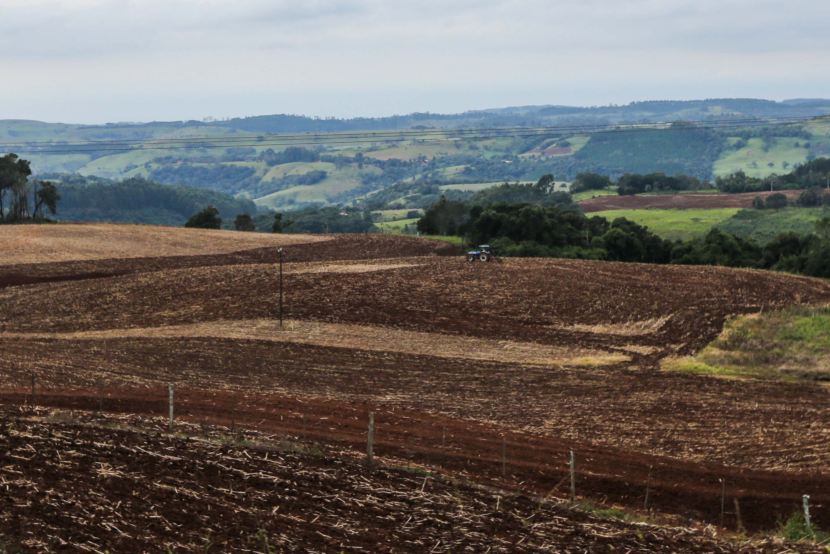 Vazio sanitário da soja está em vigor em Mato Grosso do Sul e segue até 15 de setembro