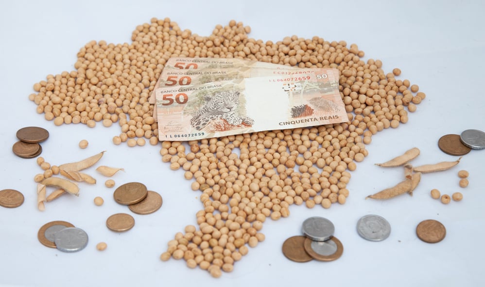 Preços da soja no Brasil: Chicago cai e dólar sobe; confira as cotações