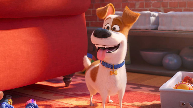 ‘Pets: A Vida Secreta dos Bichos 3’: Illumination confirma desenvolvimento de nova sequênc