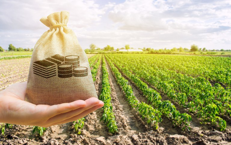Crédito rural: a nova regra pode restringir quem mais precisa dele