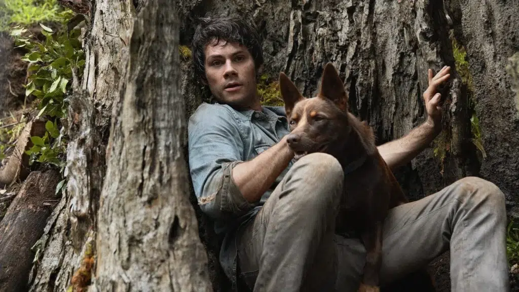 ‘Lex’: Dylan O’Brien estrelará nova série de COMÉDIA do Hulu