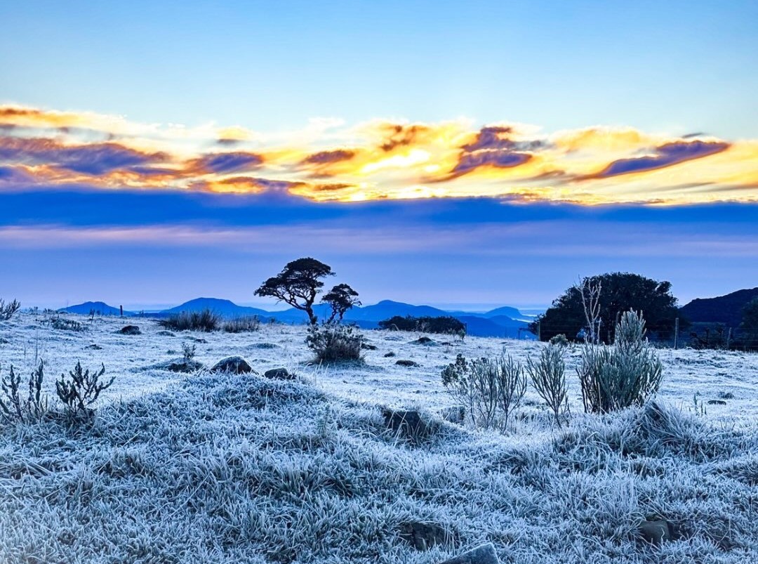 Santa Catarina tem madrugada mais gelada do ano e Serra vira cenário de inverno