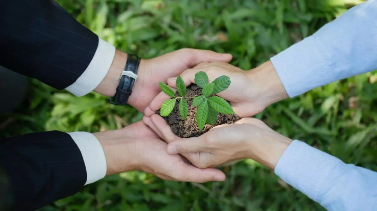 Empresas Sustentáveis: A Nova Era da Responsabilidade Ambiental