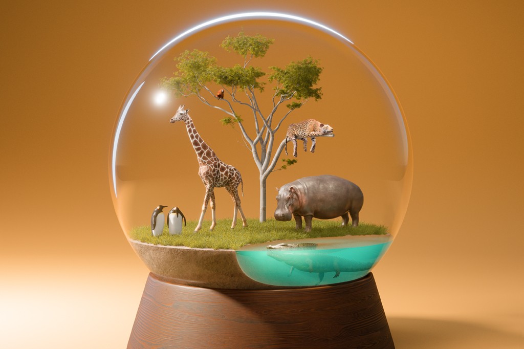 Zoológicos ainda fazem sentido? O dilema entre cuidado e cativeiro
