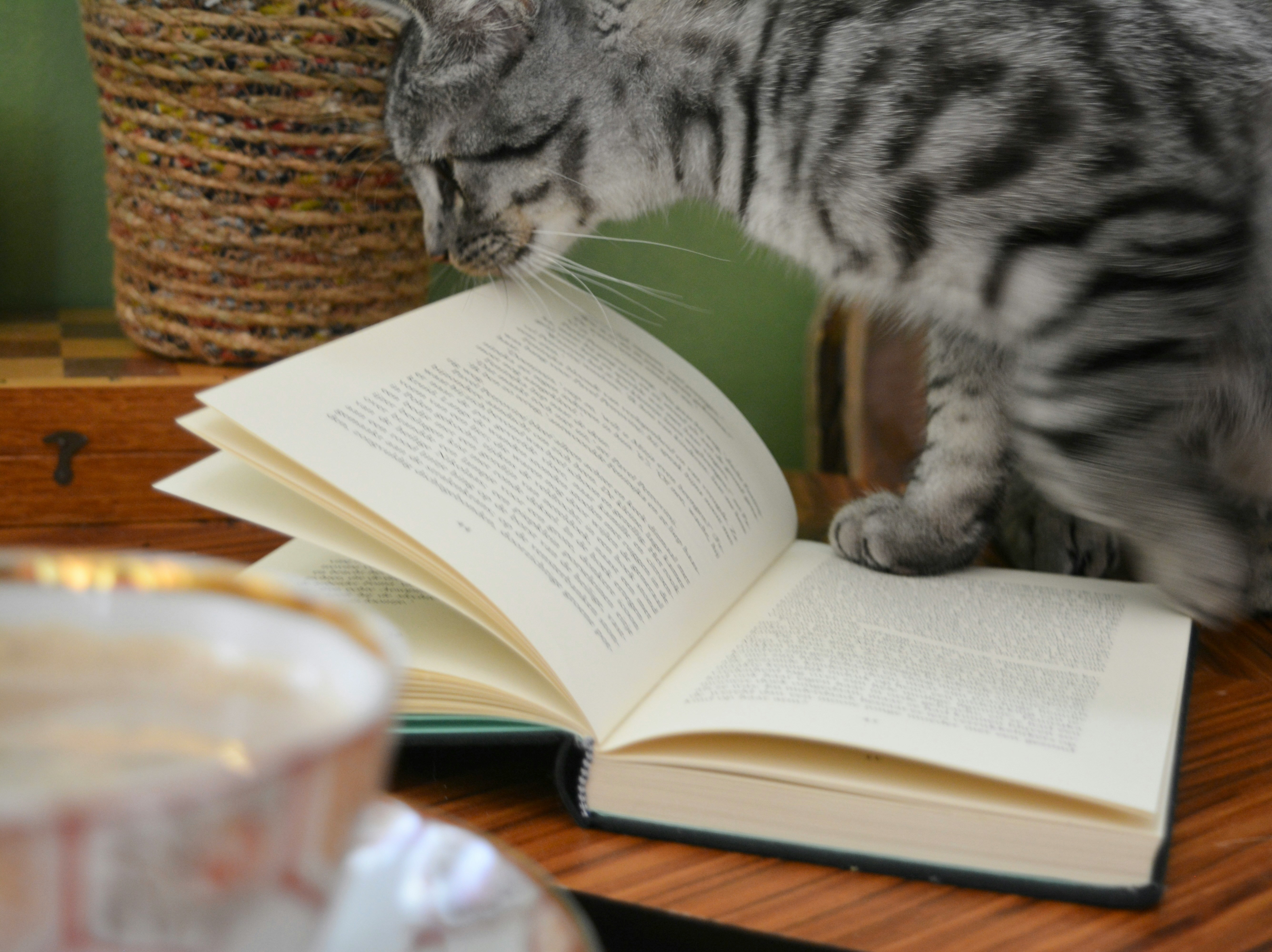 3 livros para repensar nossa convivência com os animais