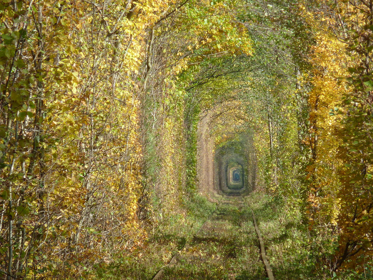 Túnel do Amor: o cenário romântico da Ucrânia que esconde uma história dura