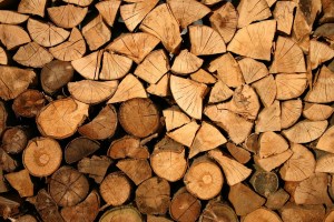 ONG britânica denuncia chegada de madeira irregular da Amazônia à Europa