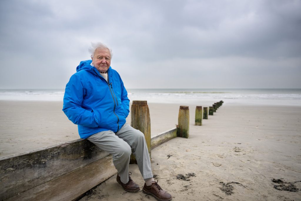 David Attenborough faz história aos 100 anos com indicação inédita ao Emmy