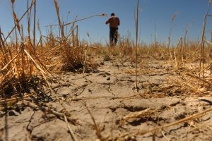 Um dos El Niños mais fortes custou US$ 5,7 trilhões ao mundo, e 2026 pode ser pior