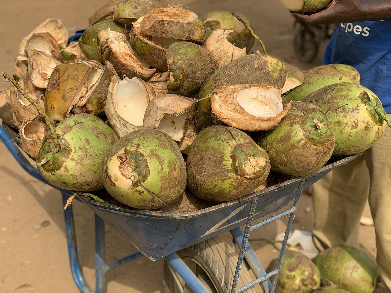 Chá de Entrecasca de Coco: Aliado ou Promessa Não Comprovada para Corredores?
