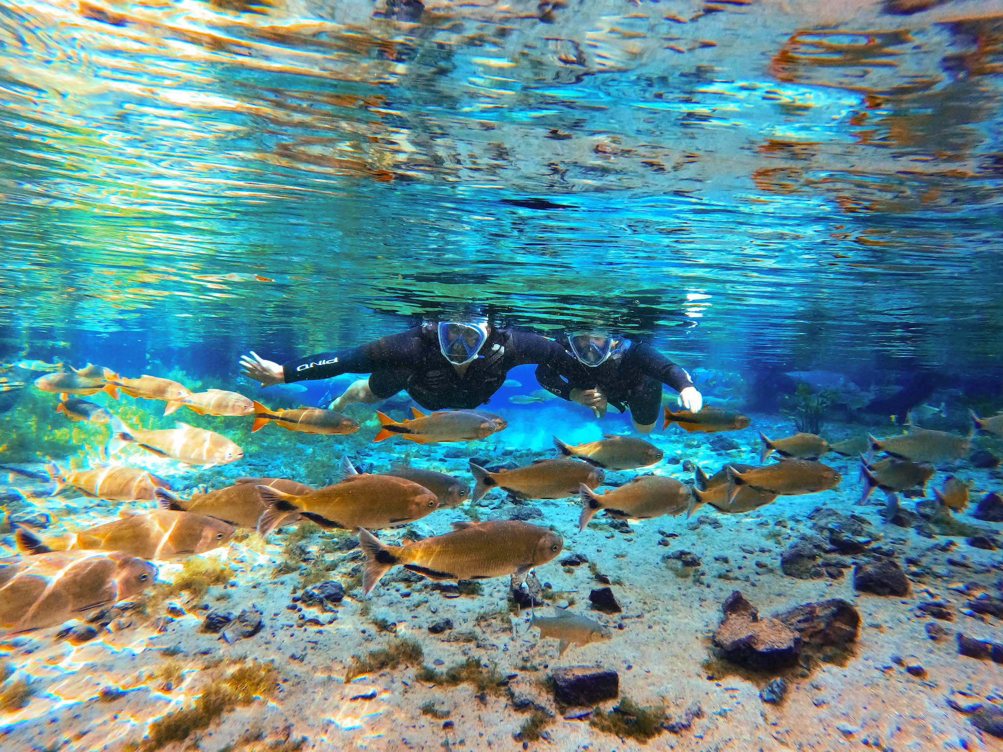 Por que o inverno é a melhor época para conhecer a Nascente Azul em Bonito