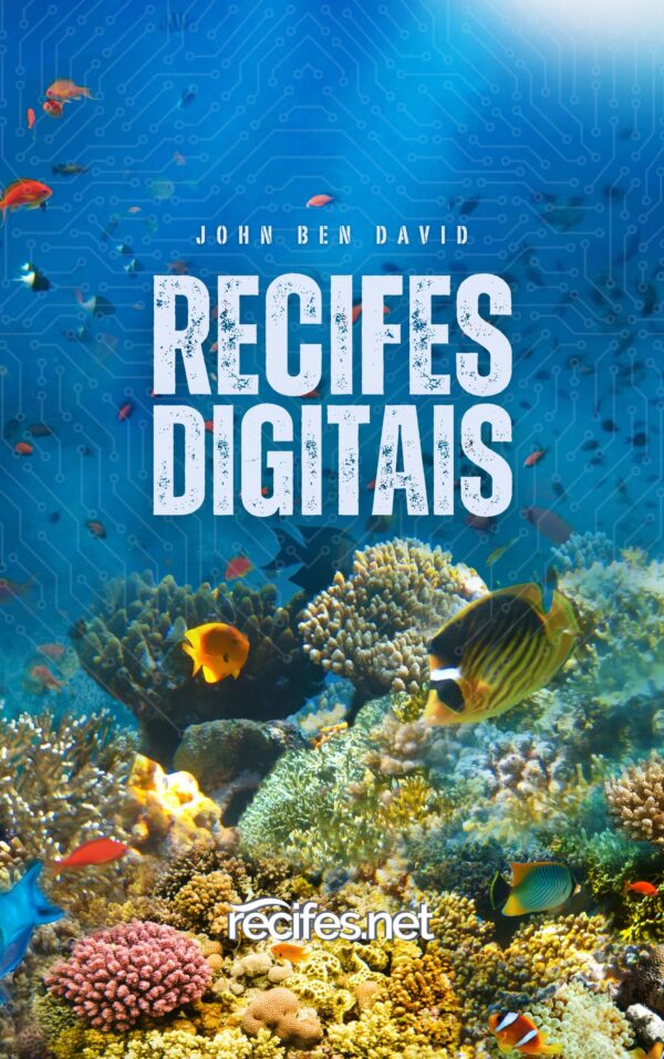 Ebook Recifes Digitais - Imagem 3