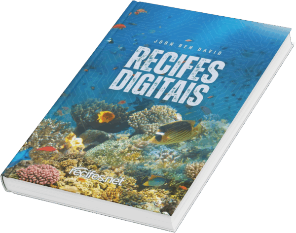 Ebook Recifes Digitais - Imagem 5